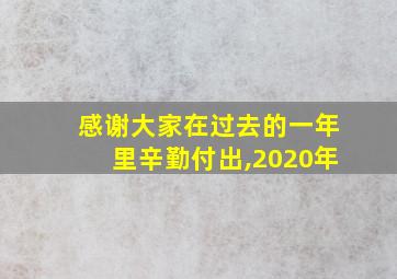 感谢大家在过去的一年里辛勤付出,2020年