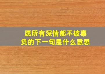 愿所有深情都不被辜负的下一句是什么意思