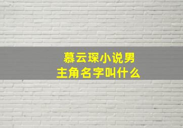 慕云琛小说男主角名字叫什么