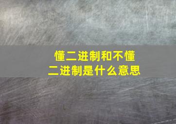 懂二进制和不懂二进制是什么意思