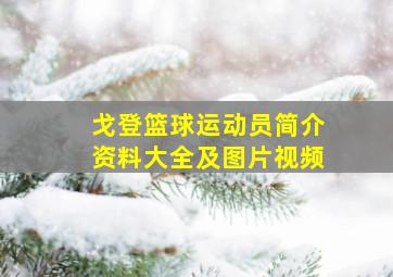 戈登篮球运动员简介资料大全及图片视频