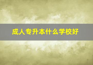 成人专升本什么学校好