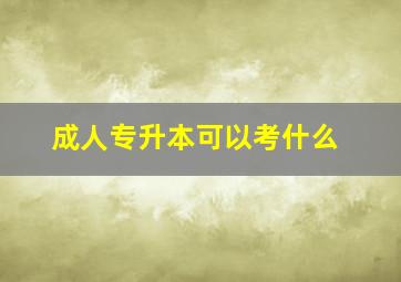 成人专升本可以考什么