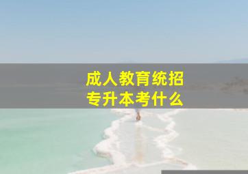 成人教育统招专升本考什么