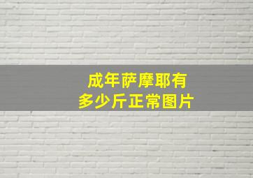 成年萨摩耶有多少斤正常图片