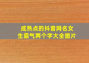 成熟点的抖音网名女生霸气两个字大全图片