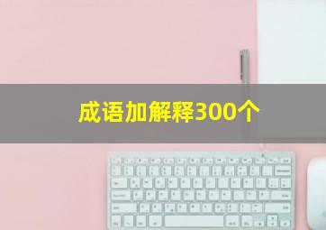 成语加解释300个