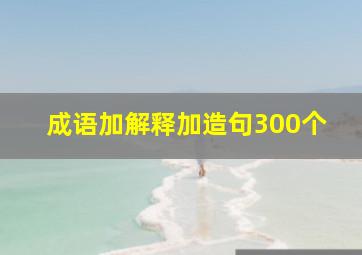 成语加解释加造句300个