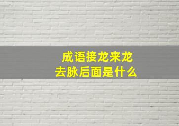 成语接龙来龙去脉后面是什么