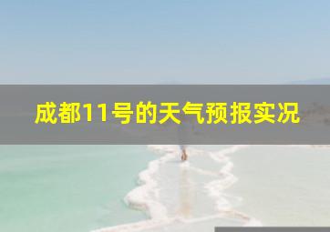 成都11号的天气预报实况