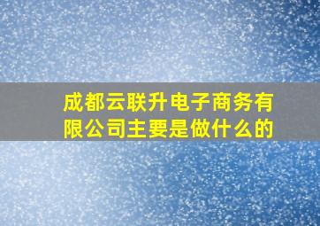 成都云联升电子商务有限公司主要是做什么的