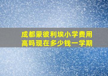 成都蒙彼利埃小学费用高吗现在多少钱一学期