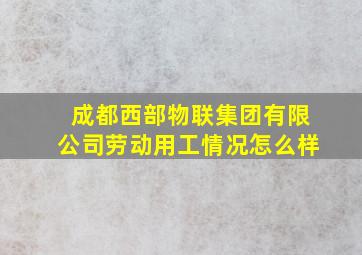 成都西部物联集团有限公司劳动用工情况怎么样