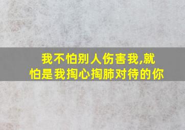 我不怕别人伤害我,就怕是我掏心掏肺对待的你