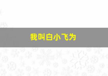 我叫白小飞为