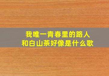 我唯一青春里的路人和白山茶好像是什么歌