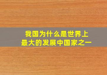 我国为什么是世界上最大的发展中国家之一