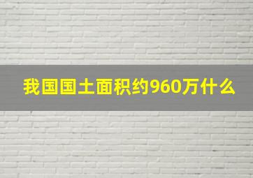 我国国土面积约960万什么