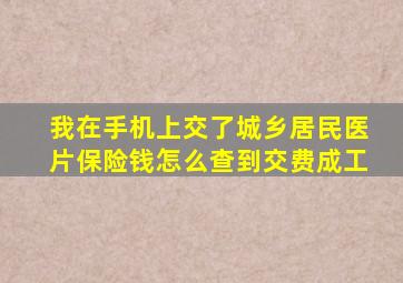 我在手机上交了城乡居民医片保险钱怎么查到交费成工