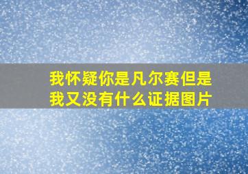 我怀疑你是凡尔赛但是我又没有什么证据图片