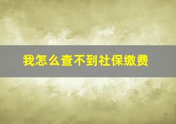 我怎么查不到社保缴费