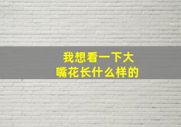 我想看一下大嘴花长什么样的