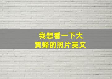 我想看一下大黄蜂的照片英文