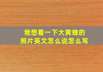 我想看一下大黄蜂的照片英文怎么说怎么写