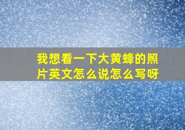 我想看一下大黄蜂的照片英文怎么说怎么写呀