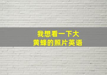 我想看一下大黄蜂的照片英语