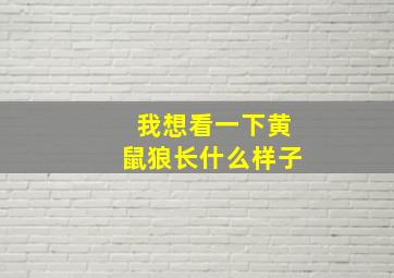 我想看一下黄鼠狼长什么样子