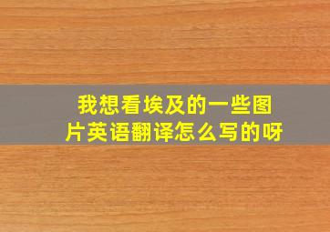 我想看埃及的一些图片英语翻译怎么写的呀