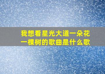 我想看星光大道一朵花一棵树的歌曲是什么歌