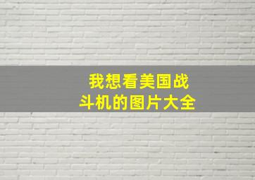 我想看美国战斗机的图片大全