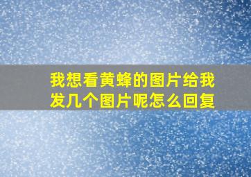 我想看黄蜂的图片给我发几个图片呢怎么回复