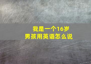 我是一个16岁男孩用英语怎么说