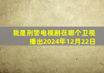 我是刑警电视剧在哪个卫视播出2024年12月22日