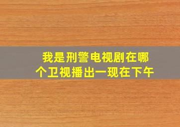 我是刑警电视剧在哪个卫视播出一现在下午