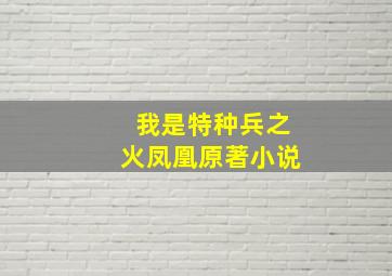 我是特种兵之火凤凰原著小说