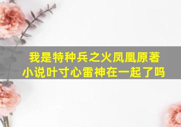 我是特种兵之火凤凰原著小说叶寸心雷神在一起了吗