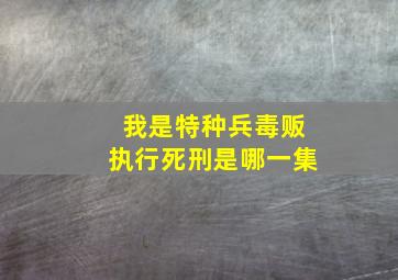 我是特种兵毒贩执行死刑是哪一集