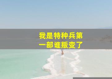 我是特种兵第一部谁叛变了