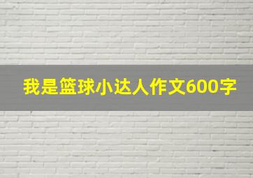 我是篮球小达人作文600字