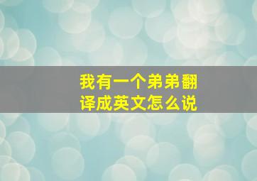 我有一个弟弟翻译成英文怎么说