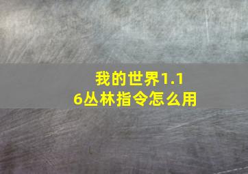 我的世界1.16丛林指令怎么用