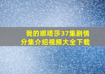 我的娜塔莎37集剧情分集介绍视频大全下载