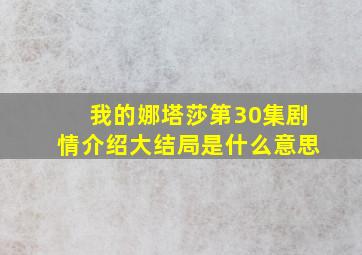 我的娜塔莎第30集剧情介绍大结局是什么意思