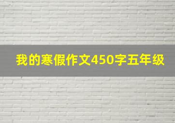 我的寒假作文450字五年级