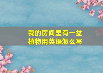 我的房间里有一盆植物用英语怎么写