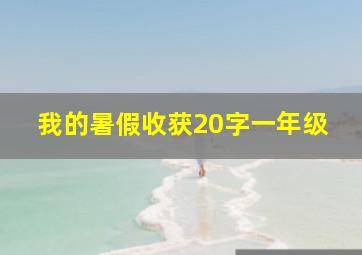 我的暑假收获20字一年级